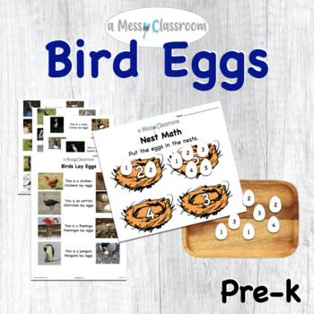 Preview of Different Bird Eggs Thematic Unit Lesson Plan