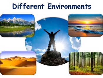 Preview of Different Environments Lesson & Flashcards task cards study guide 2023-2024