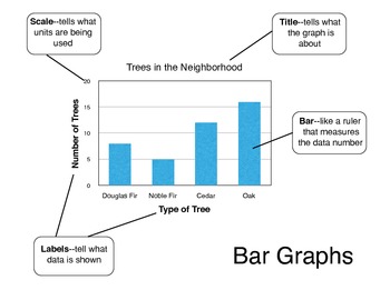 Different Kinds of Graphs by Stephanie Griffith | TPT