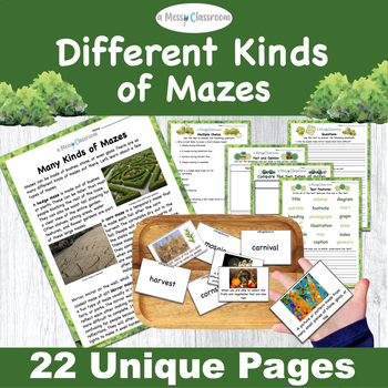 Preview of Different Mazes Nonfiction Reading Question RI.2.1 Opinion Writing W.2.1 RI.2.5