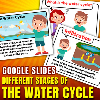 Preview of Different Stages Of The Water Cycle,Cute illustration,Google Slides presentation