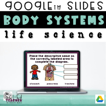 Preview of Different Systems in the Body Digital Activity