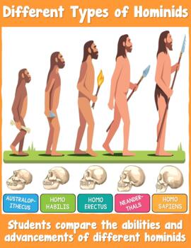 Preview of Different Types of Hominids