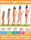 Different Types of Hominids
