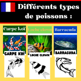 Différents Types D'images et Noms de Poissons : Flash card