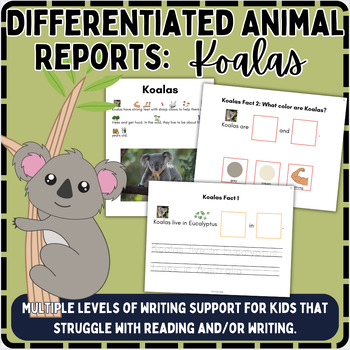 Preview of Differentiated Animal Reports: Adapted Expository Writing | KOALAS