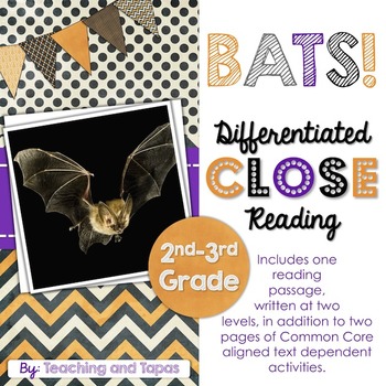 Preview of Differentiated Close Reading - Bats