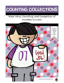 Preview of Differentiated Counting Collections Focus Area: Place Value