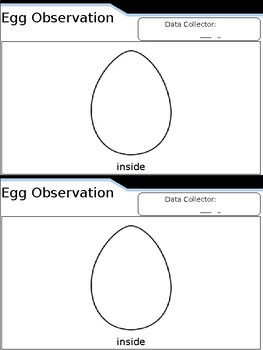 Preview of Differentiated Egg Observation Lab Flip Book