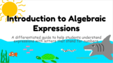 Differentiated Introduction to Algebraic Expressions