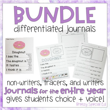 journal writing prompts for special education students