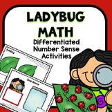 Differentiated Ladybug Spring Number Sense Math for Presch