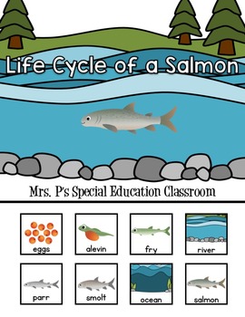 Differentiated Life Cycle of a Salmon Interactive Book | TpT