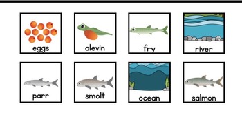 Differentiated Life Cycle of a Salmon Interactive Book | TpT