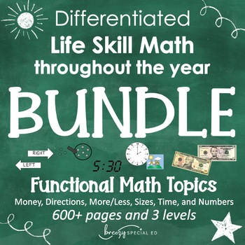 Preview of Differentiated Life Skill Math Pack BUNDLE for the YEAR {Special Ed}