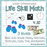 Differentiated Life Skill Math Pack: Winter (special education)