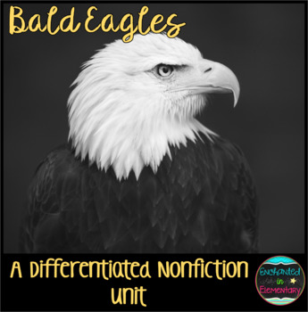 Preview of Differentiated Nonfiction Unit: Bald Eagles