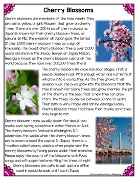 Differentiated Nonfiction Unit: Cherry Blossoms by Enchanted in Elementary