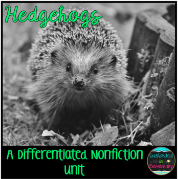 Preview of Differentiated Nonfiction Unit: Hedgehogs