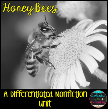 Preview of Differentiated Nonfiction Unit: Honey Bees
