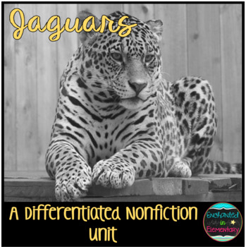 Preview of Differentiated Nonfiction Unit: Jaguars