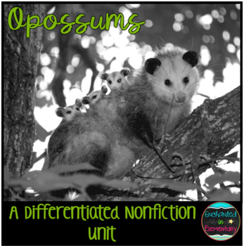 Preview of Differentiated Nonfiction Unit: Opossums