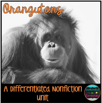 Preview of Differentiated Nonfiction Unit: Orangutans
