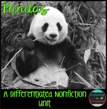 Preview of Differentiated Nonfiction Unit: Pandas