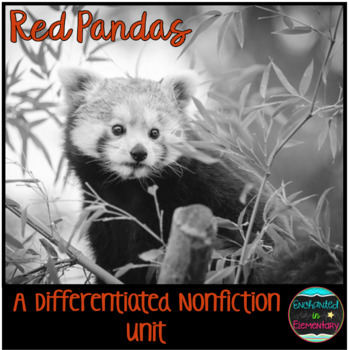 Preview of Differentiated Nonfiction Unit: Red Pandas