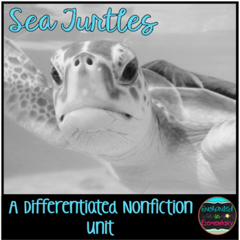 Preview of Differentiated Nonfiction Unit: Sea Turtles