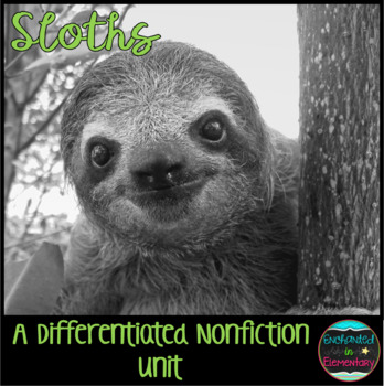 Preview of Differentiated Nonfiction Unit: Sloths