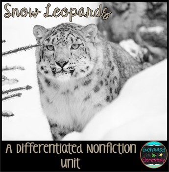 Preview of Differentiated Nonfiction Unit: Snow Leopards