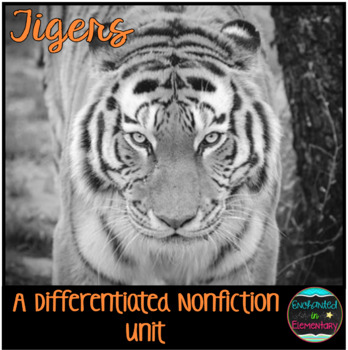 Preview of Differentiated Nonfiction Unit: Tigers