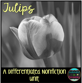 Preview of Differentiated Nonfiction Unit: Tulips
