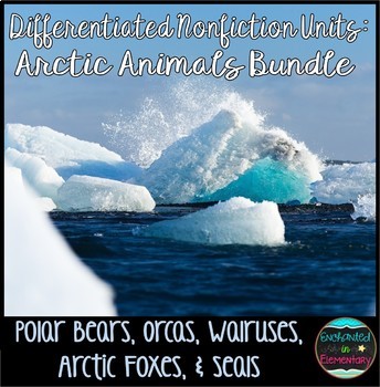 Preview of Differentiated Nonfiction Units: Arctic Animals Bundle