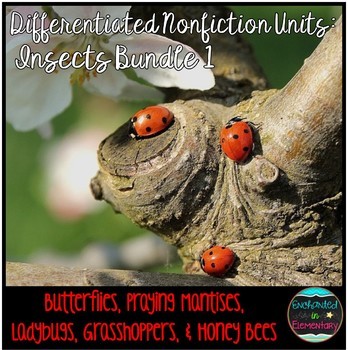 Preview of Differentiated Nonfiction Units: Insects Bundle 1