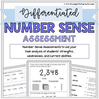Preview of Differentiated Number Sense Assessment: Pre-Test and Scoring/Grouping Guides!