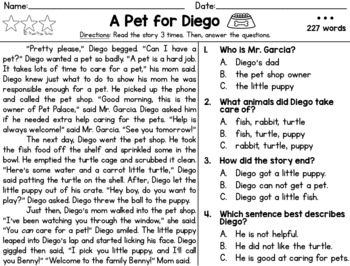 Differentiated Reading Passage And Questions FREEBIE By