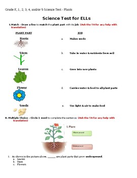 Preview of Differentiated Science Test - Plants (Editable)