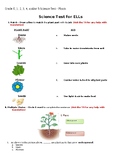 Differentiated Science Test - Plants (Editable)