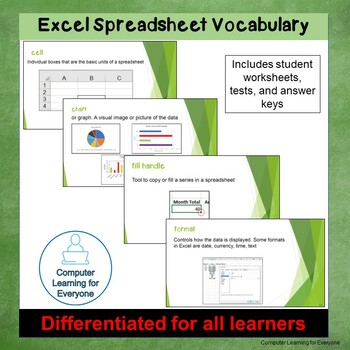 Preview of Differentiated Spreadsheet Vocabulary (Excel)