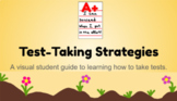 Differentiated Test-Taking Strategies Presentation
