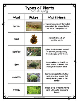 Differentiated Types of Plants Reading Passage Vocabulary 