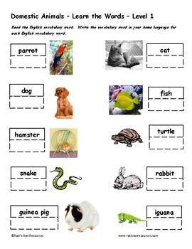 Differentiated Vocabulary Packet for ESL Students - Domestic Animals