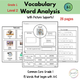 Vocab Graphic Organizers and Word Mapping - Level 2 (SPED/