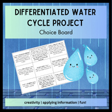 Differentiated Water Cycle Project- Journey of a Water Dro