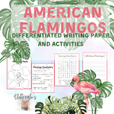 Differentiated Writing and Activities Flamingos Summer Bul