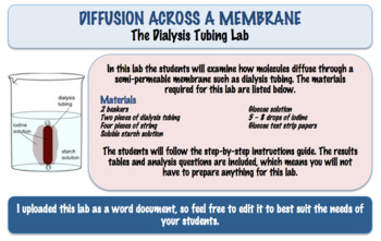 Dialysis Worksheets Teaching Resources Teachers Pay Teachers