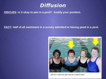 Preview of Diffusion Animation - Peeing in Pool