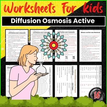 Preview of Diffusion Osmosis Active Transport Worksheet